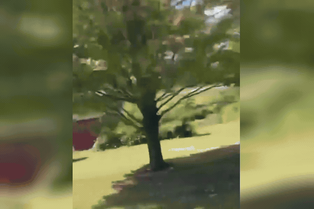 The wreckage of a Texas Air National Guard F-16 Fighting Falcon in a field in Grand Traverse County, Michigan, where Blair Township Supervisor Nicole Blonshine said she heard the crash from her own home and no ground…