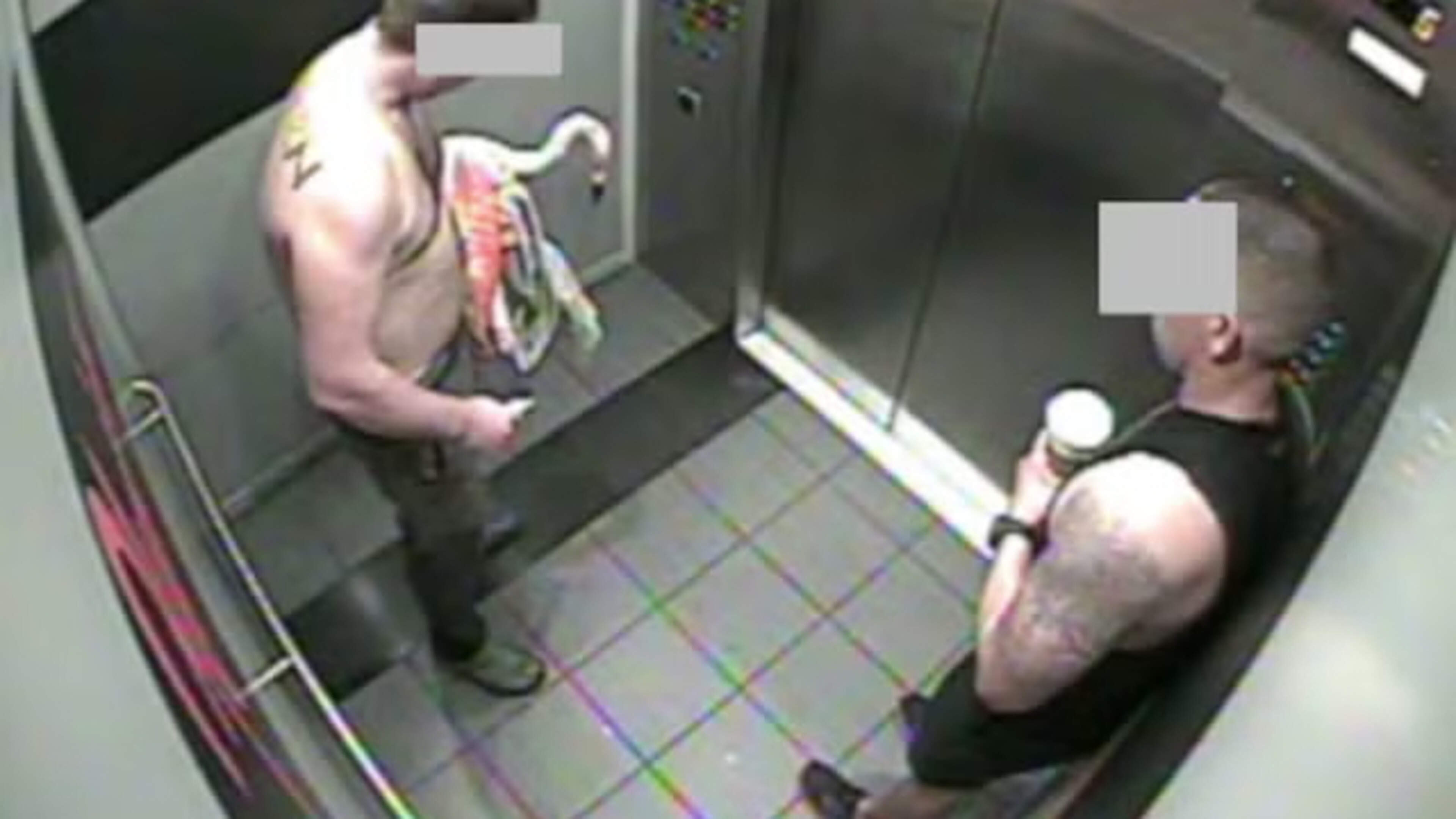 Canadian tourist who downed '30 to 40' beers faces four years in prison for stealing Las Vegas flamingo