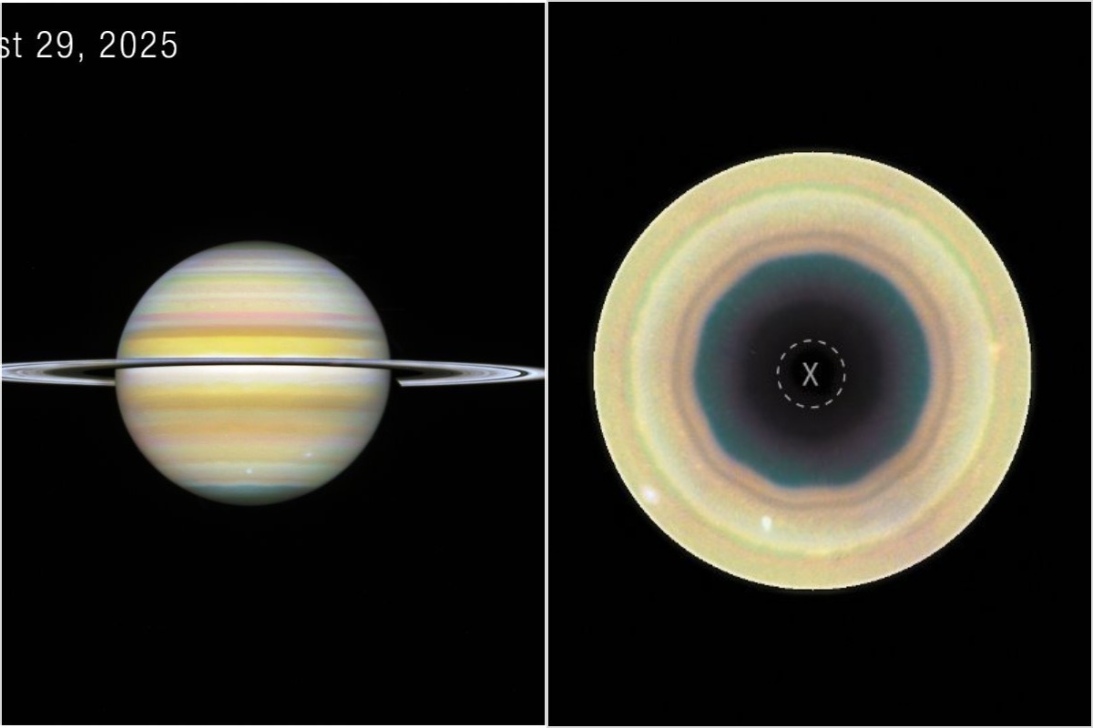 Earth bacteria THRIVE in lab simulation of Saturn moon's ocean, raising hopes of alien life