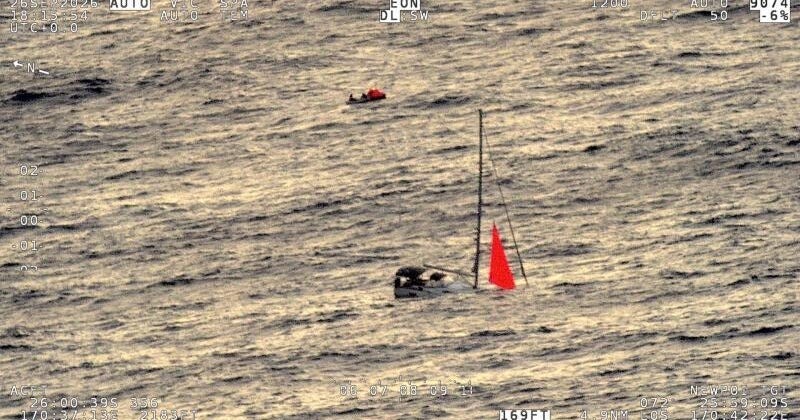 A sperm whale rammed and sank a yacht in the South Pacific, leaving four sailors stranded in open ocean for 18 hours before rescuers pulled them to safety alive.