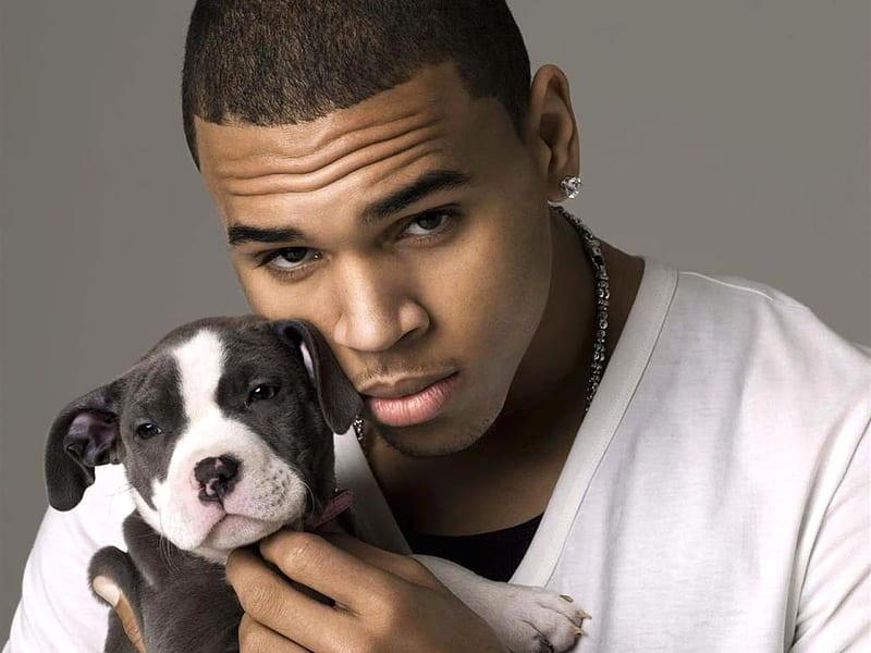Chris Brown, who admitted affray after striking a producer twice with a tequila bottle at a Mayfair nightclub and was handed a suspended sentence today.