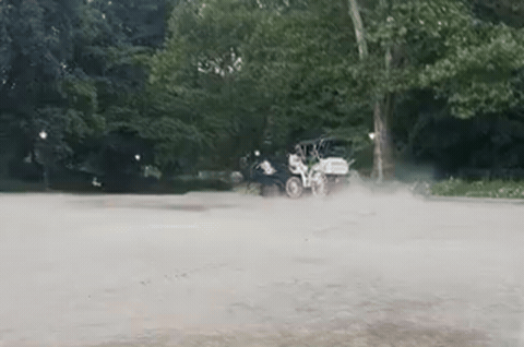 A carriage horse bolts in Central Park; under Romanch's Law, due for a City Council vote on 22 October, unionised drivers are to receive job placement, training and financial compensation.