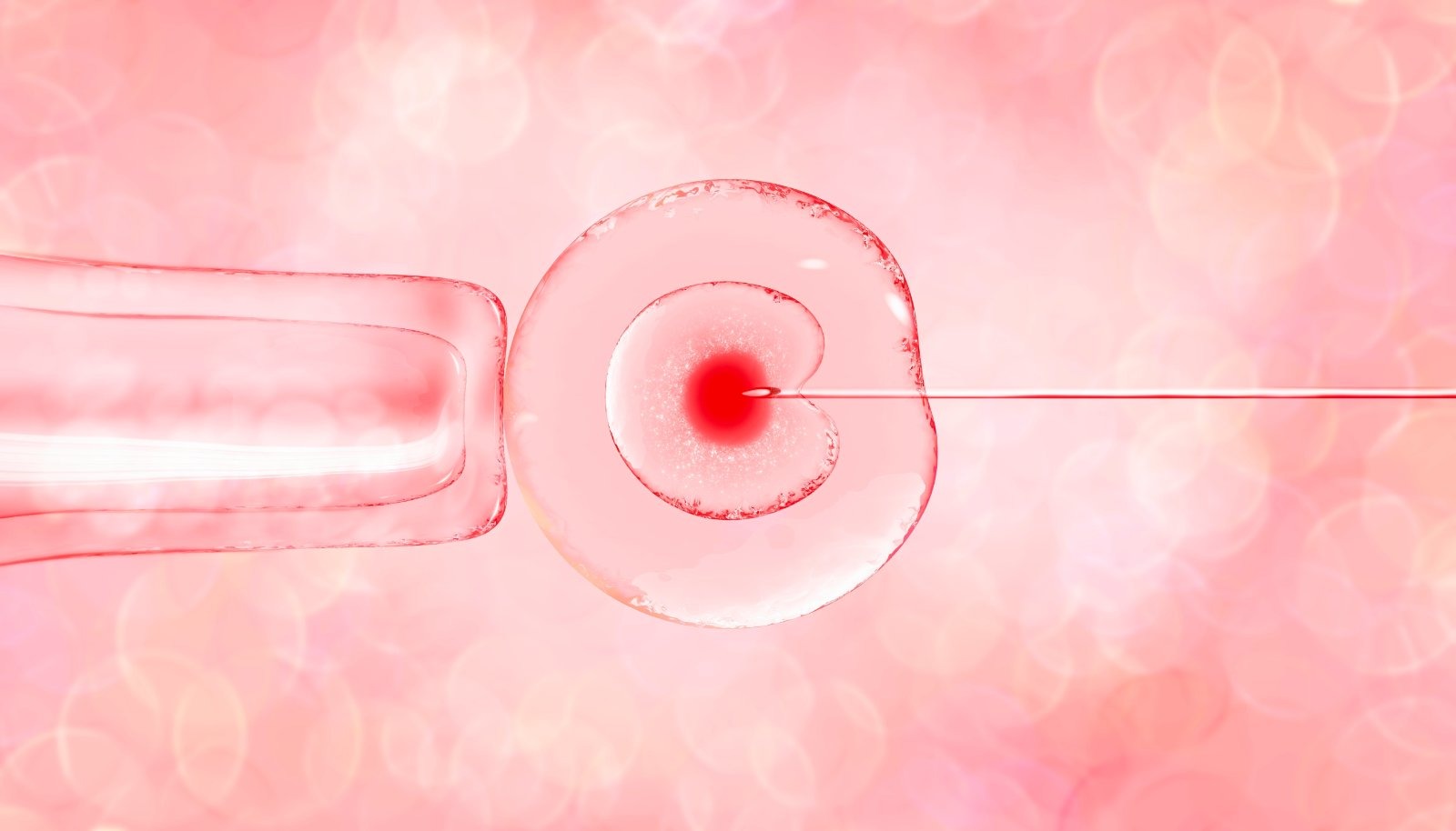 Workers suffering a miscarriage or failed IVF transfer before 24 weeks will get up to two weeks of unpaid leave from April 2027, available from the first day of employment.