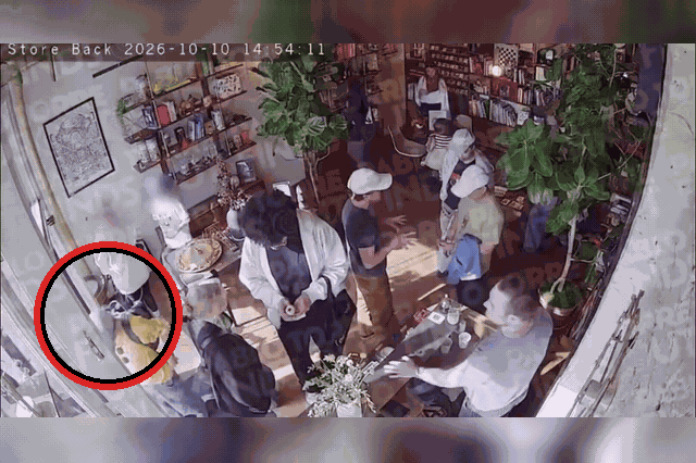 Silent security footage of Kelly Clarkson's four-minute-fifty-second Brooklyn store visit, showing her gesturing at staff near the $15,000 mechanical bird, but containing no audio to resolve what was actually said.