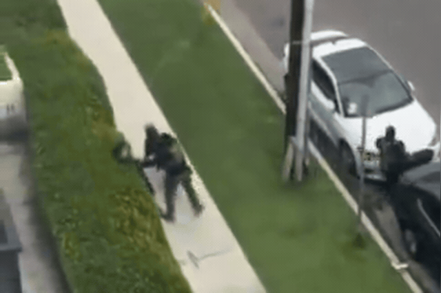 Masked ICE agents who shoved a dog walker into a bush and pressed a pistol to his face released him without arrest after he picked up a dropped spray canister during the detention of Angel Luis Gonzalez Lobo, 27, on Friday.