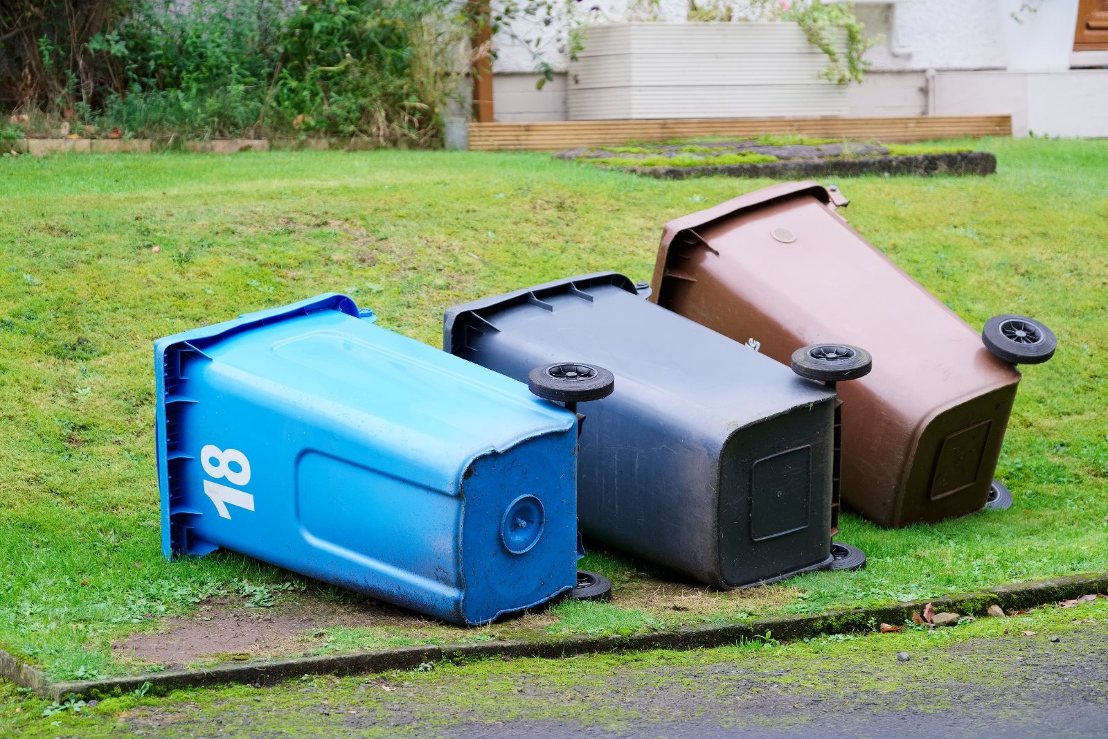 Wheelie bins. Denbighshire County Council is trialling a 12th container for soft plastics, with 4,500 households already managing 11 bins — and a 20-page guide to sort between them.