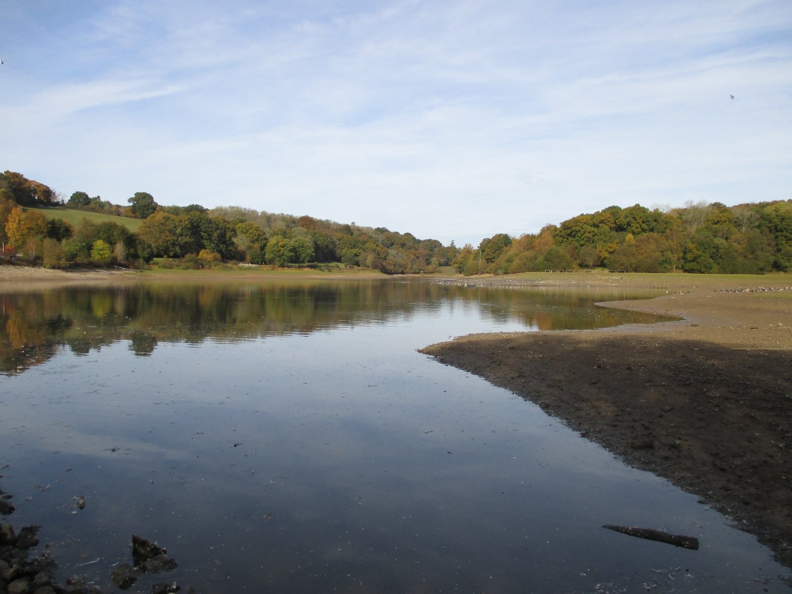 Severe drought declared across six English counties after the driest spring and summer in over a century