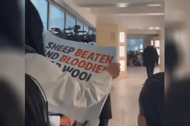 A PETA protester is forced to the ground in a corridor at a New York runway show, footage that contributed to Steven Kolb apologising and taking a leave of absence before ultimately resigning as head of the Council of…