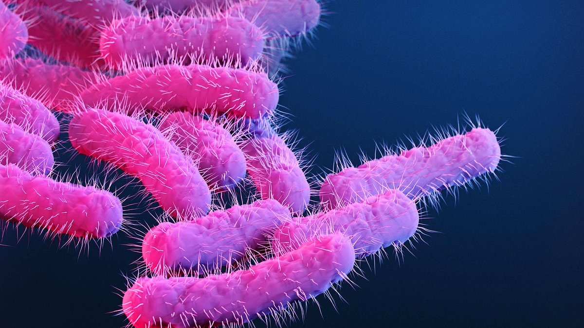 Antibiotic-resistant 'sexually transmitted diarrhoea' bug is surging in the UK and US as standard medicines fail
