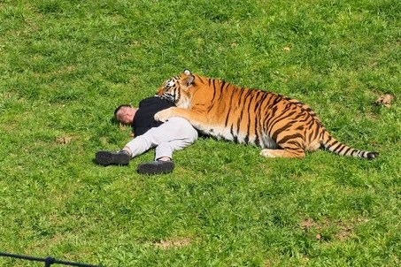 Yorkshire Wildlife Park, where Altai the Amur tiger is confirmed safe and will not be euthanised, remains closed for a third consecutive day as South Yorkshire Police continue their enquiries.