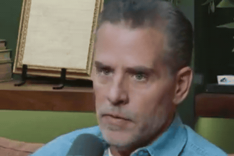 Eleven days before the midterms, two ex-FBI officials have been charged with lying to US Congress over Hunter Biden's laptop