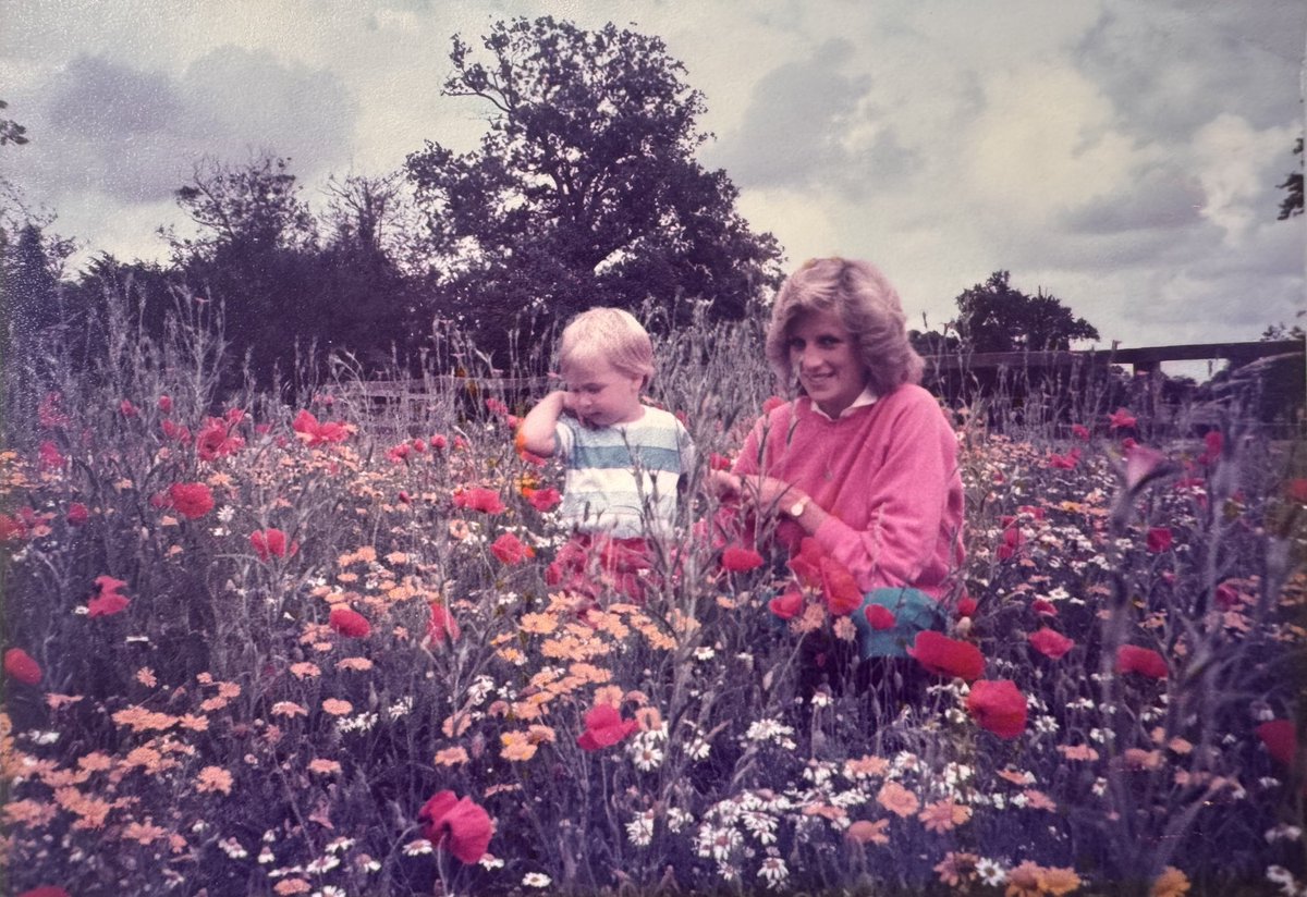 Princess Diana with a baby son. Both William and Harry have reportedly been approached about rival documentary projects marking the 30th anniversary of their mother's death next August.