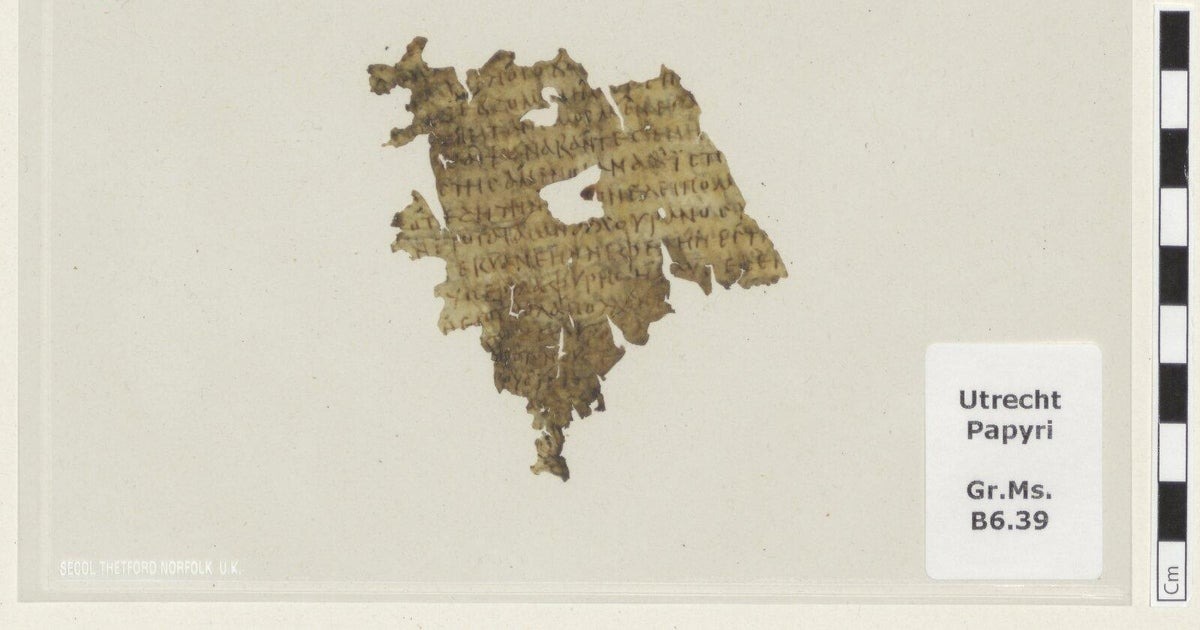 Utrecht University Library in the Netherlands, where a tiny parchment scrap — mislabelled for years among Coptic manuscripts — has been identified as a 1,700-year-old fragment of Homer's Odyssey covering the destruction…
