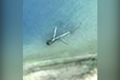 Submerged wreckage on the edge of Nikumaroro's lagoon, believed by researchers to be Amelia Earhart's Lockheed Electra, which vanished with navigator Fred Noonan on 2 July 1937.