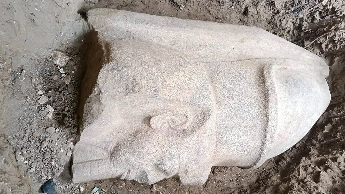 A farmer's field in Behbeit el-Hagar, the Nile Delta village where a chance discovery triggered an excavation unearthing two colossal statues of Ramses II, with one stone head standing 5ft 3in tall.