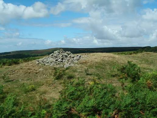 Fire Beacon Cairn on the Quantock Hills, a 4,000-year-old Bronze Age burial mound that archaeologists warn contains irreplaceable DNA and human remains evidence that could be destroyed if rocks are disturbed.