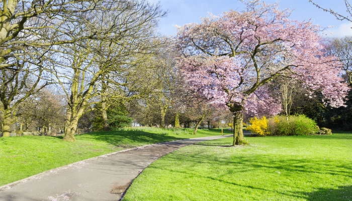 Stanley Park, where a cordon remains in place while police review CCTV footage and interview witnesses, after a woman's body was found there on Friday.