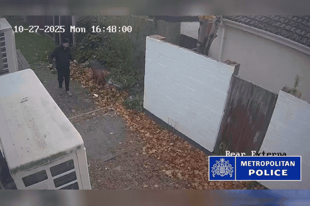 CCTV footage released by Metropolitan Police showing Dawood Safi crossing a residential street shortly before the attack in which he stabbed Wayne Broadhurst fourteen times as he walked his dog.