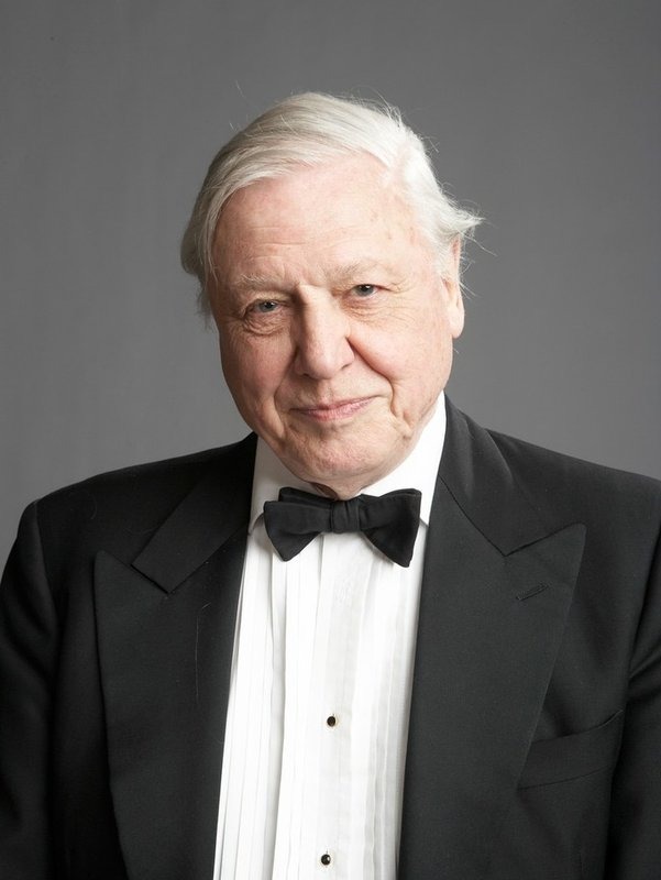 Sir David Attenborough, whose pumpkin mosaic at Sunnyfields Farm in Totton, Hampshire, broke the Guinness World Record for largest pumpkin portrait on his 100th birthday.