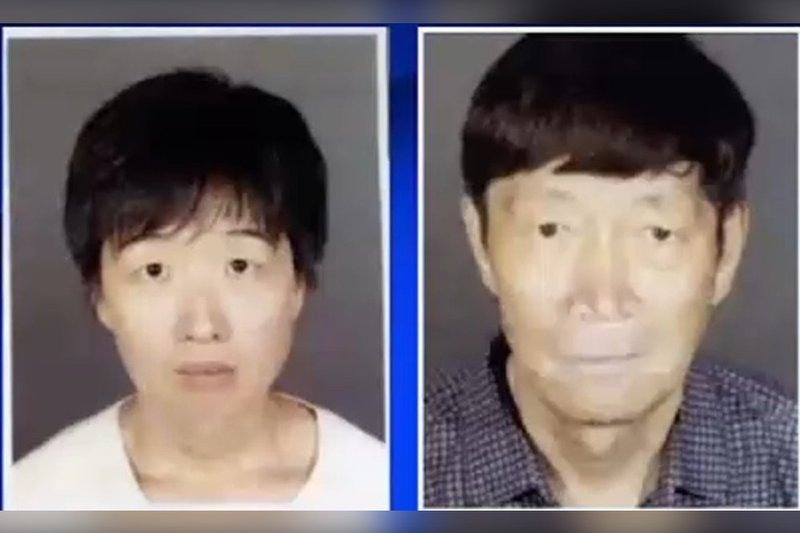 Guojun Xuan (left) and Silvia Zhang, arrested at their $4.1 million Arcadia mansion, allegedly ran surrogacy agency Mark Surrogacy to exploit California's laws, accumulating at least 21 children.