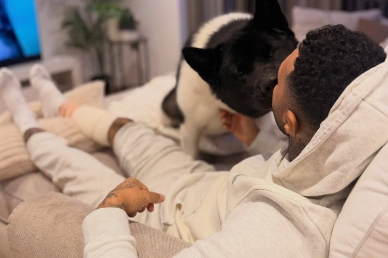 Jermaine Pennant, who spent Friday night in hospital after being bitten four times on his right leg, says his American Akita drove the attacking German Shepherd away.