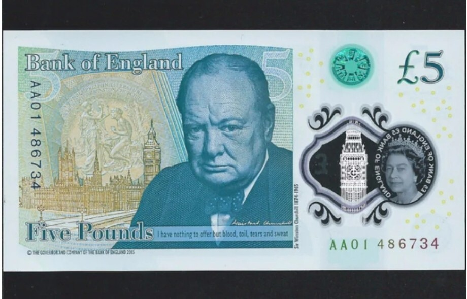 Puffin CHOSEN OVER kingfisher as hedgehog, barn owl and bumblebee replace Churchill on new banknotes