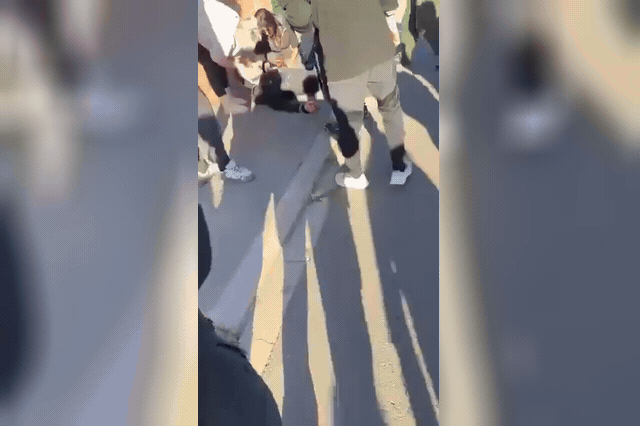 A police stun grenade of the type used during school blockades in France. A 15-year-old lost his left hand when such a device exploded near a vocational school in Lens, with investigators yet to confirm whether he…