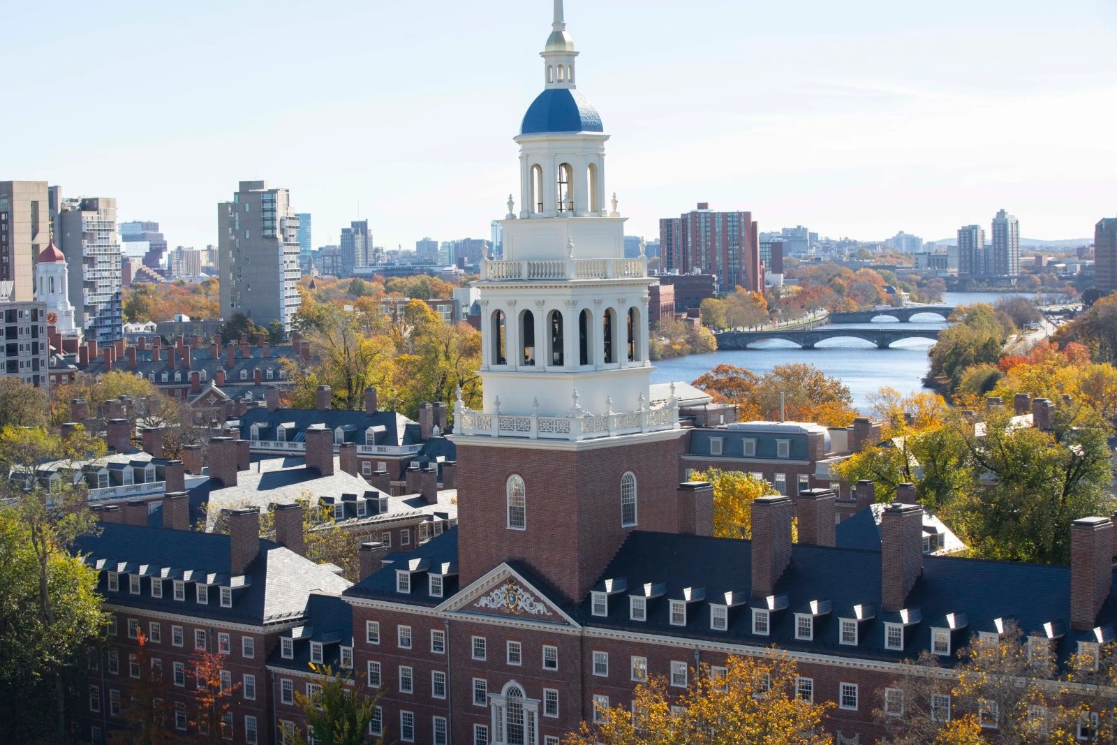 Harvard panel of activists brands weight-loss jabs like Ozempic 'fascistic' and 'imperialist' tools to eradicate fatness
