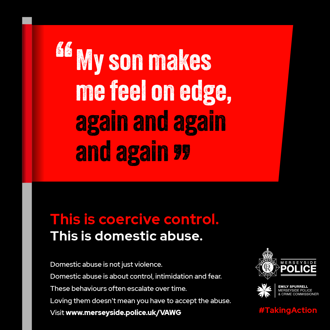 A graphic from the campaign, which was driven in part by a 2024 review finding Merseyside's matricide rate was double the national average.