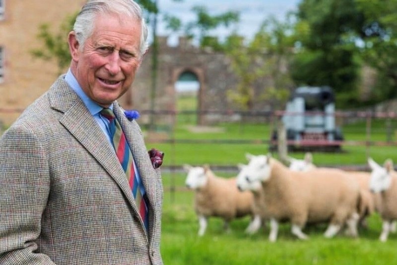 King refuses to let Andrew Mountbatten-Windsor use royal stipend to fund police legal fight