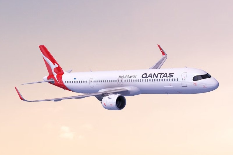 Cabin crew handed out antihistamines to bitten passengers during the 17-hour Perth-to-Rome journey on 9 October, with Qantas grounding the Boeing 787 Dreamliner in Rome for fumigation.