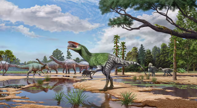 An artist's illustration of Invictibellatrix amberina, the feathered predator — close relative of Tyrannosaurus rex — whose skull lay unexamined in a Natural History Museum drawer for a century before being identified…