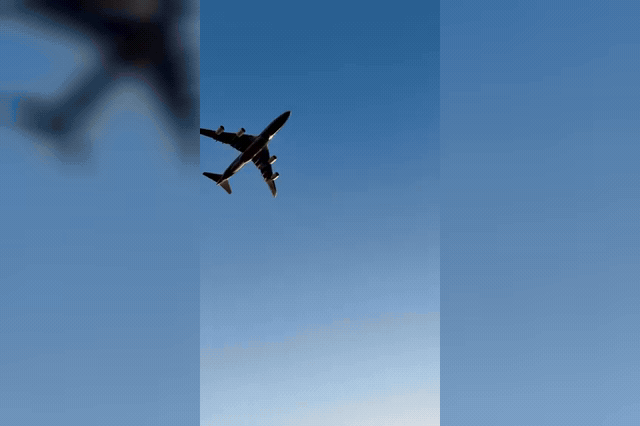 Air Force One passes low over the White House during the Halloween event, where Pete Hegseth and Stephen Miller joined the Trumps on the South Lawn with their families.