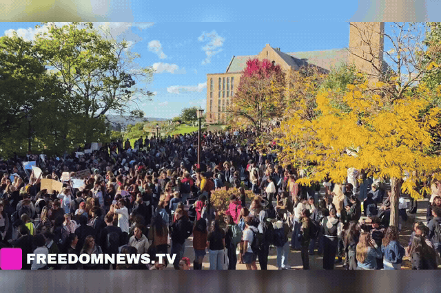 'Too little, too late': Cornell students say the US university's fraternity party ban is scapegoating over alleged gang rape