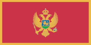Montenegro arrests Russian war blogger Mikhail Zvinchuk as US offers $10m reward for his location