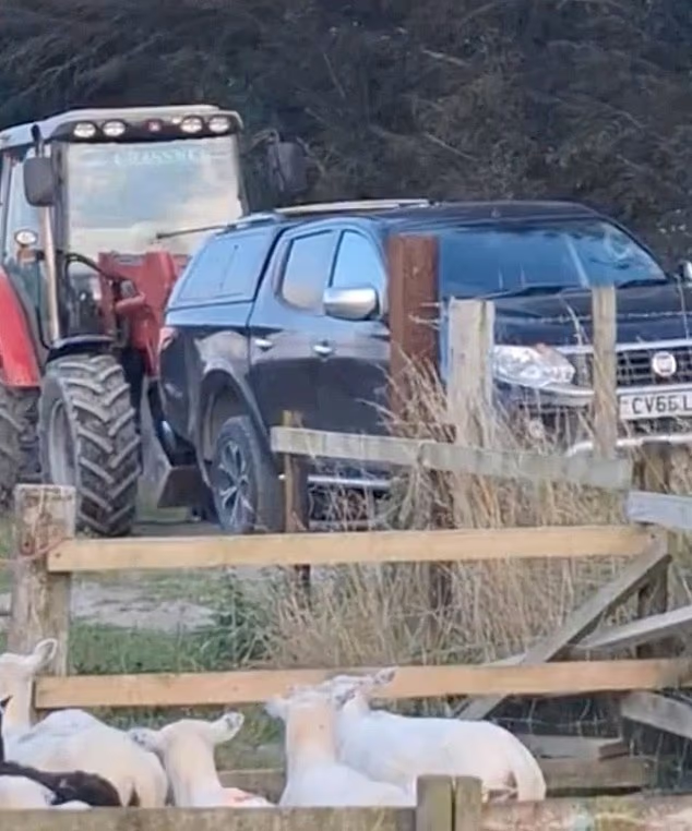 The farm lane in Ceredigion where Jones staged the removal, which caused over £5,000 in damage and led to a restraining order barring him from Hughes' property.