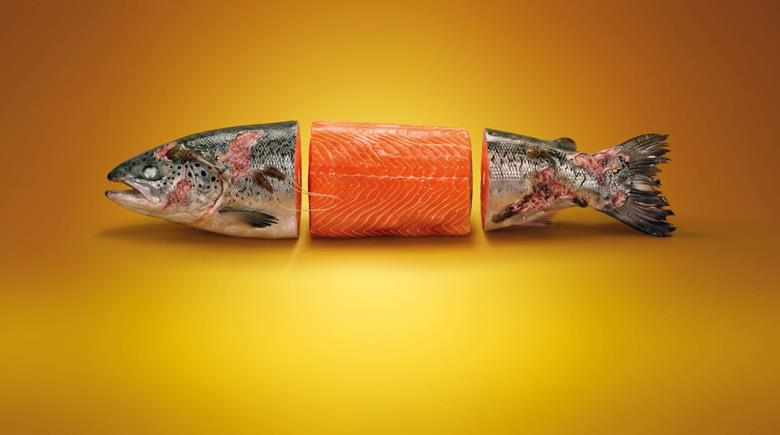 A stylised campaign image used across more than 5,000 London Underground adverts as Project Slingshot urges customers to email M&S chief executive Stuart Machin directly to demand a withdrawal timetable for Scottish…