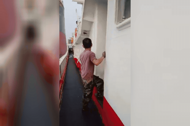 Footage recorded aboard the Luqing Yuanyu 108 shows the bulk carrier First Margaux approaching before striking the fishing vessel, whose crew clung to railings as the boat heeled sharply after the collision in the…