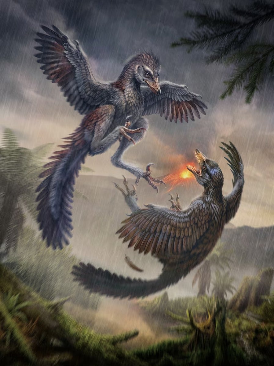 An artist's illustration of Yuezhuornis yangyuanensis, a Cretaceous bird whose "Frankenstein" fossil features suggest flight may not have been the primary driver of avian evolution.