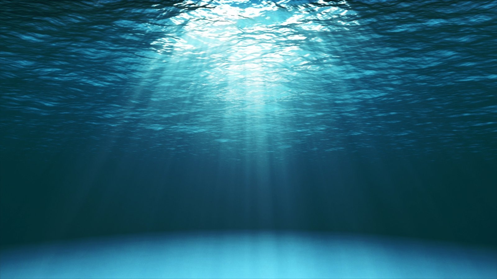 Perovskite solar cells tuned to blue-green light generated 324 milliwatt-hours during a two-hour test ten metres down in the South China Sea.