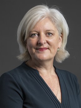 Caroline Voaden lodged a complaint with the Sergeant at Arms after alleging Farage grabbed her arm or shoulder and pushed her on a staircase during the State Opening of Parliament in May.