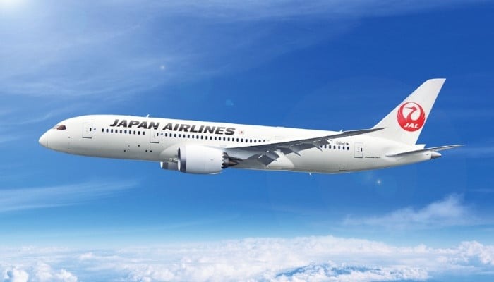 A mechanic at Fukuoka airport discovered the 40cm snake under the carpet of a Japan Air Commuter plane, with a wildlife expert taking around 24 hours to catch it.