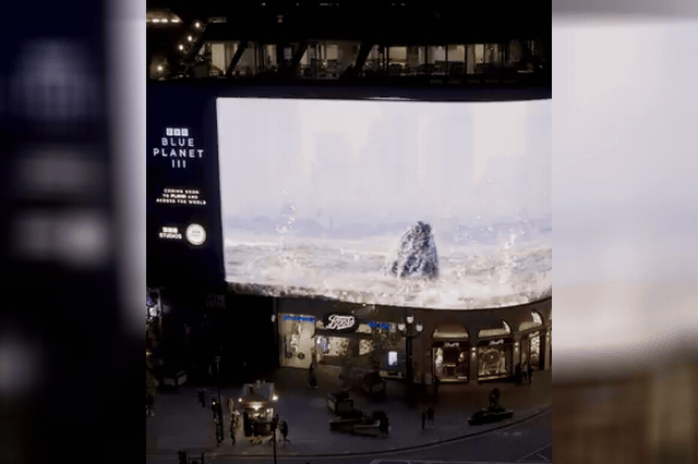 Piccadilly Circus transformed into an ocean-themed display to mark the London launch of Blue Planet III, a six-part series Hans Zimmer called the "most important work" he has ever done.