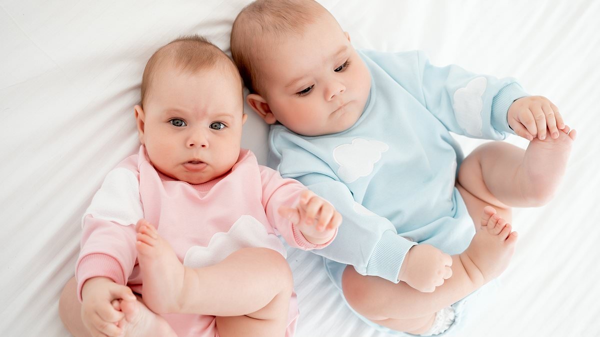 Newborns in a Cambridge study — which found girls attend more closely to human faces while boys focus on objects — were tested using video stimuli to eliminate investigator bias.