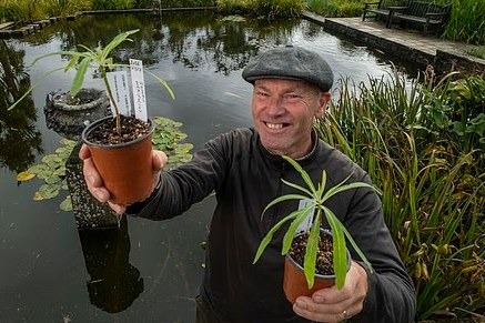 Tributes are paid to Richard Baines, the botanic garden curator killed by a falling tree in Storm Boelo