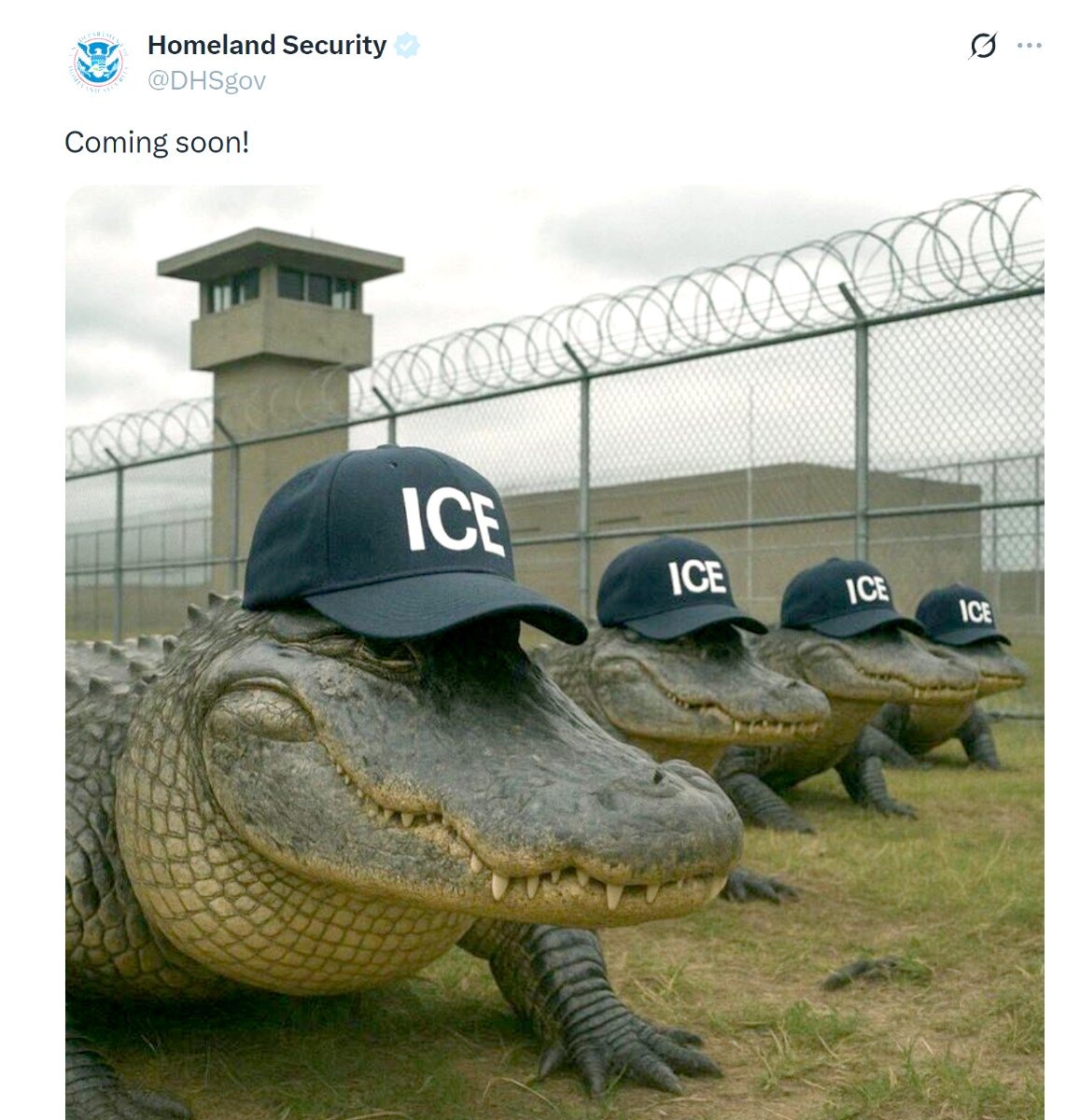 ICE wasted $20m on empty warehouses and unused Guantánamo tents, watchdog tells Congress