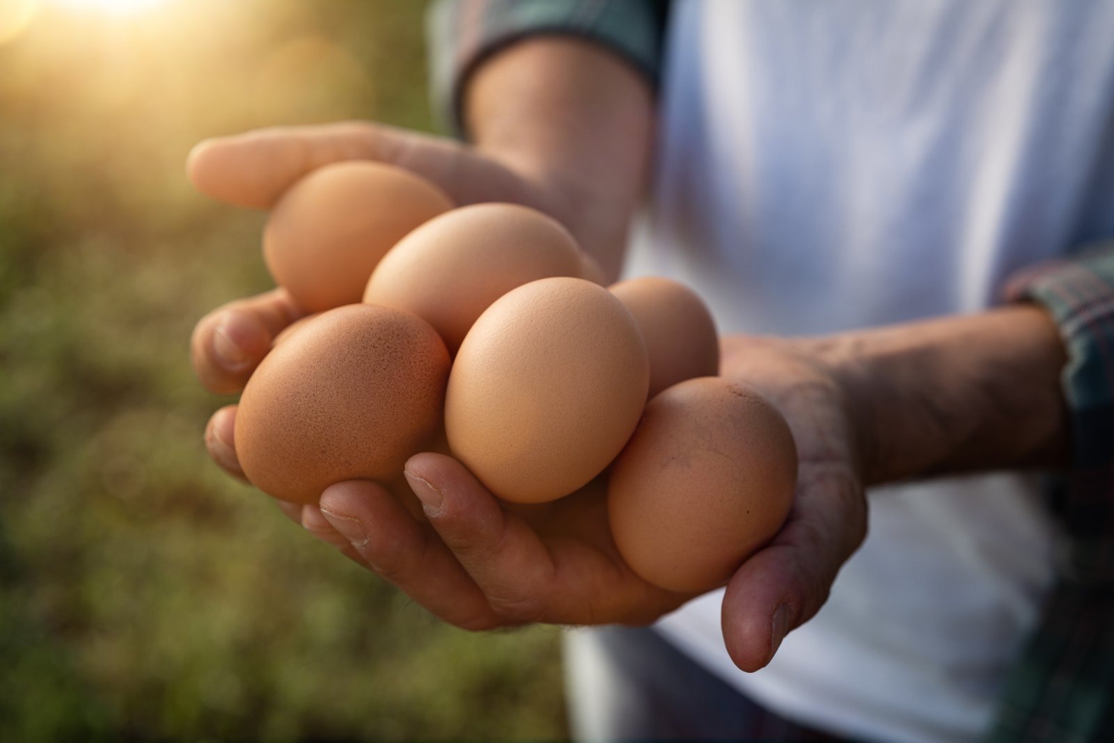 Eggs supplied to restaurants, cafes and takeaways have been linked to 259 confirmed salmonella cases in England, with the outbreak now spanning seven European countries.