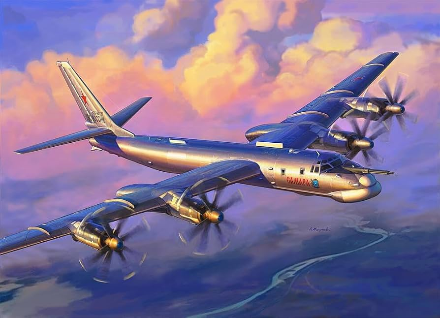 A Tu-95MS nuclear-capable strategic bomber of the type that crashed in Russia's Amur region on Tuesday, where the sole survivor was evacuated to a medical facility after three engines failed simultaneously on take-off.