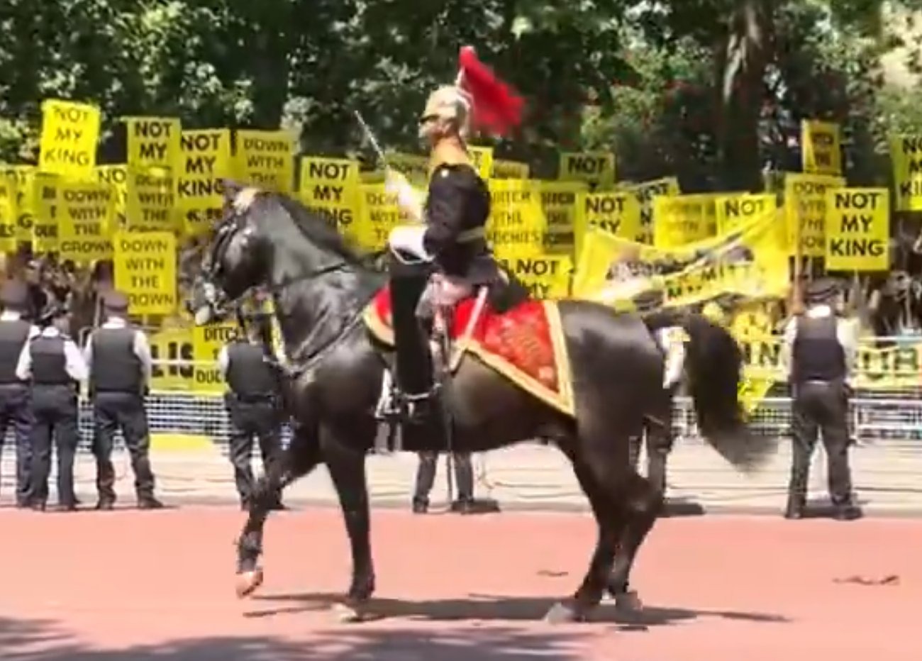 Protesters at Trooping the Colour in June, as budget cuts force the Met to deploy only a "minimal" police presence at the King's birthday parade, with a private contractor taking over the bulk of security duties.