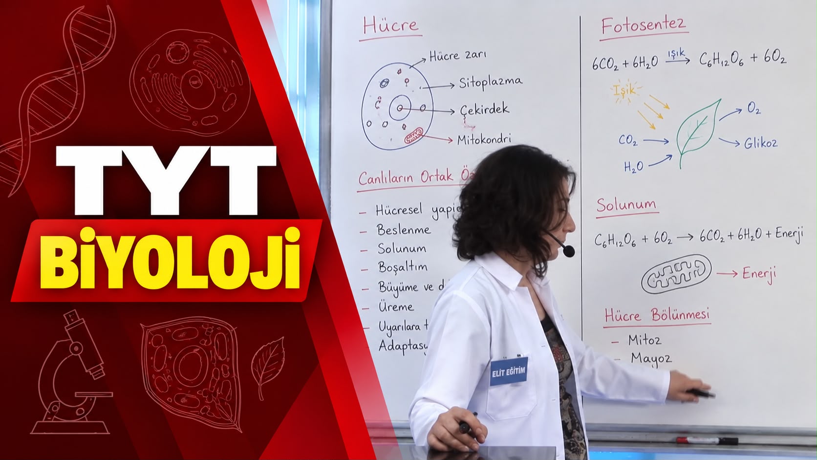 TYT Biyoloji Eğitim Seti